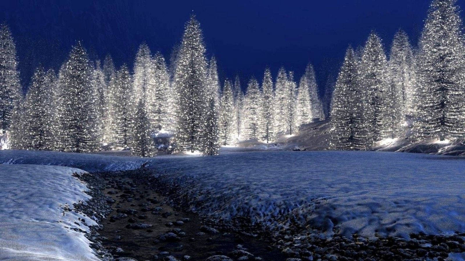 白雪覆蓋的松樹在夜晚於結冰的湖邊亮起燈光。