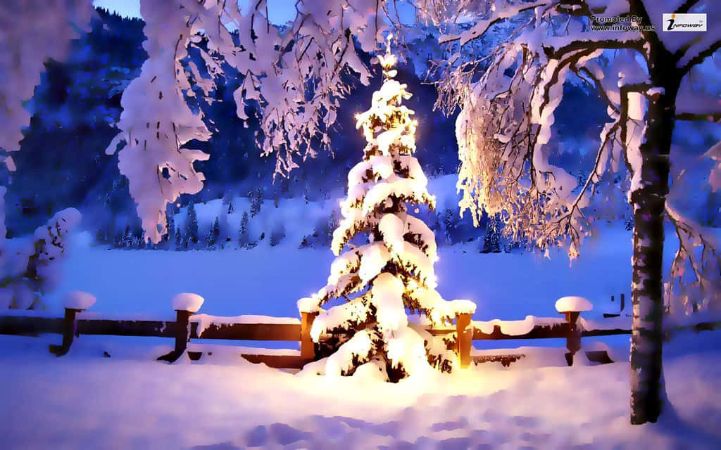 聖誕樹在雪中亮起燈光 壁紙