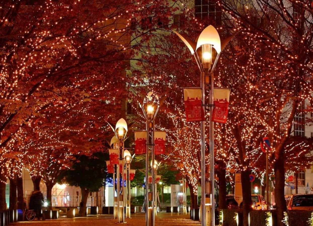 夜晚的城市街道，樹木覆蓋著紅燈和發光的街燈。