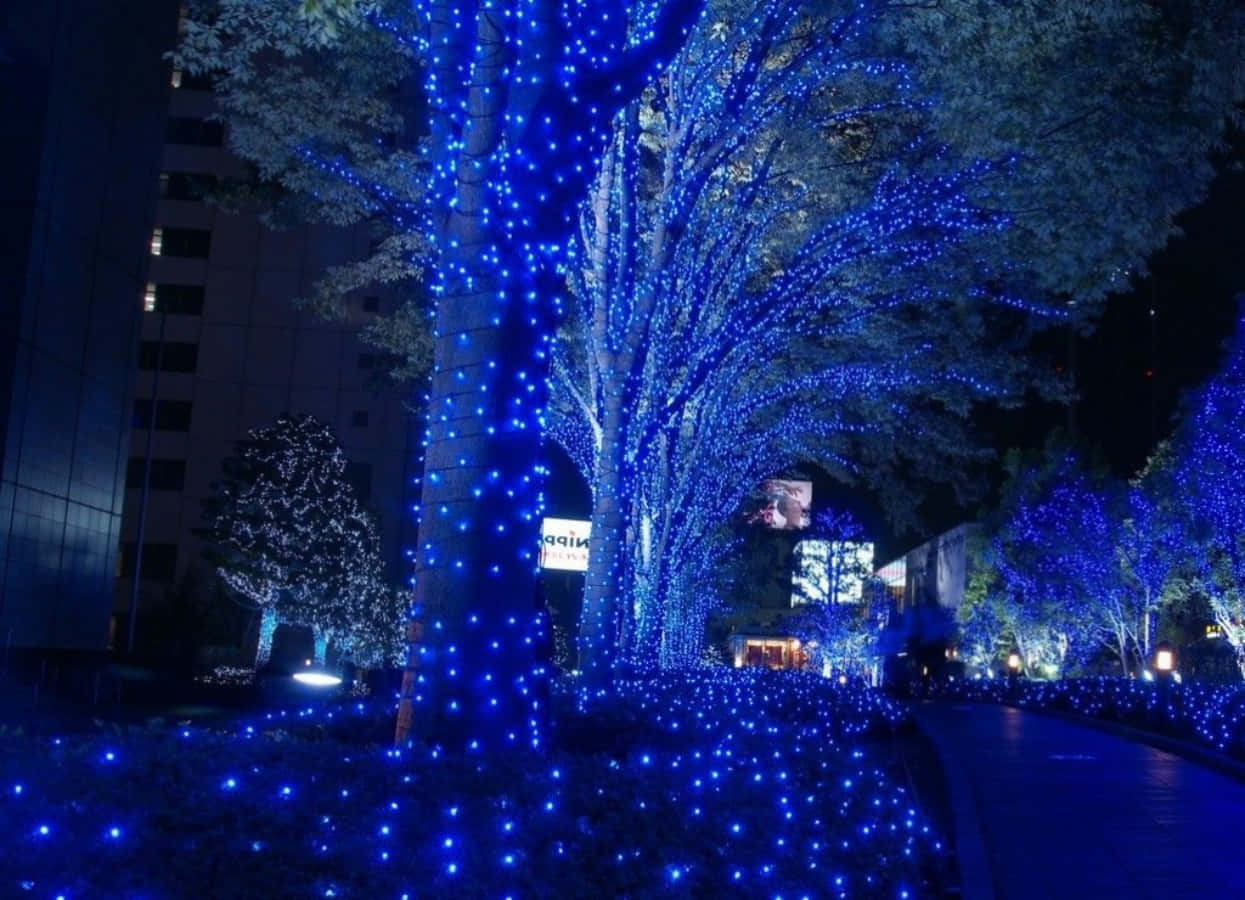 藍色燈串裝飾著夜晚城市公園中的樹木。