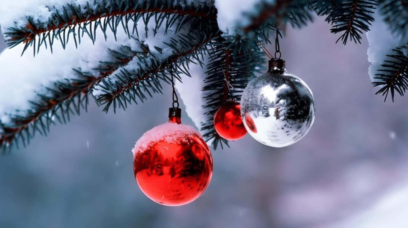 聖誕球裝飾聖誕風電腦 壁紙 — 雪花輕灑在松樹枝上，掛著紅色和銀色的聖誕裝飾，在冬日陽光下柔和閃耀。