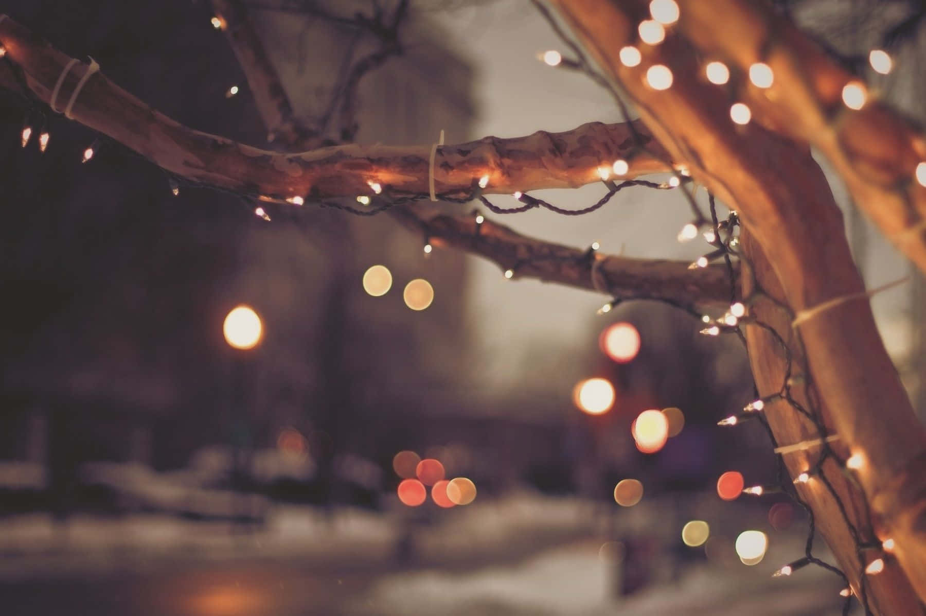 光禿的樹枝在雪夜環境中裝飾著發光的串燈。