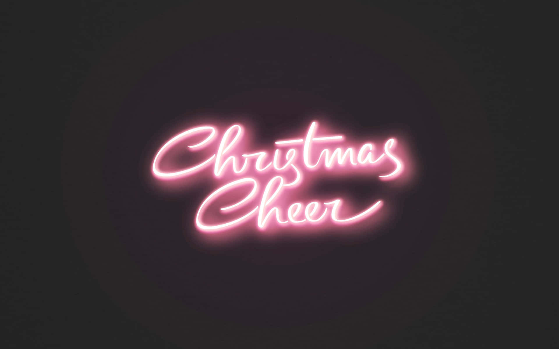 黑暗背景上寫有Christmas Cheer的粉紅色霓虹燈牌
