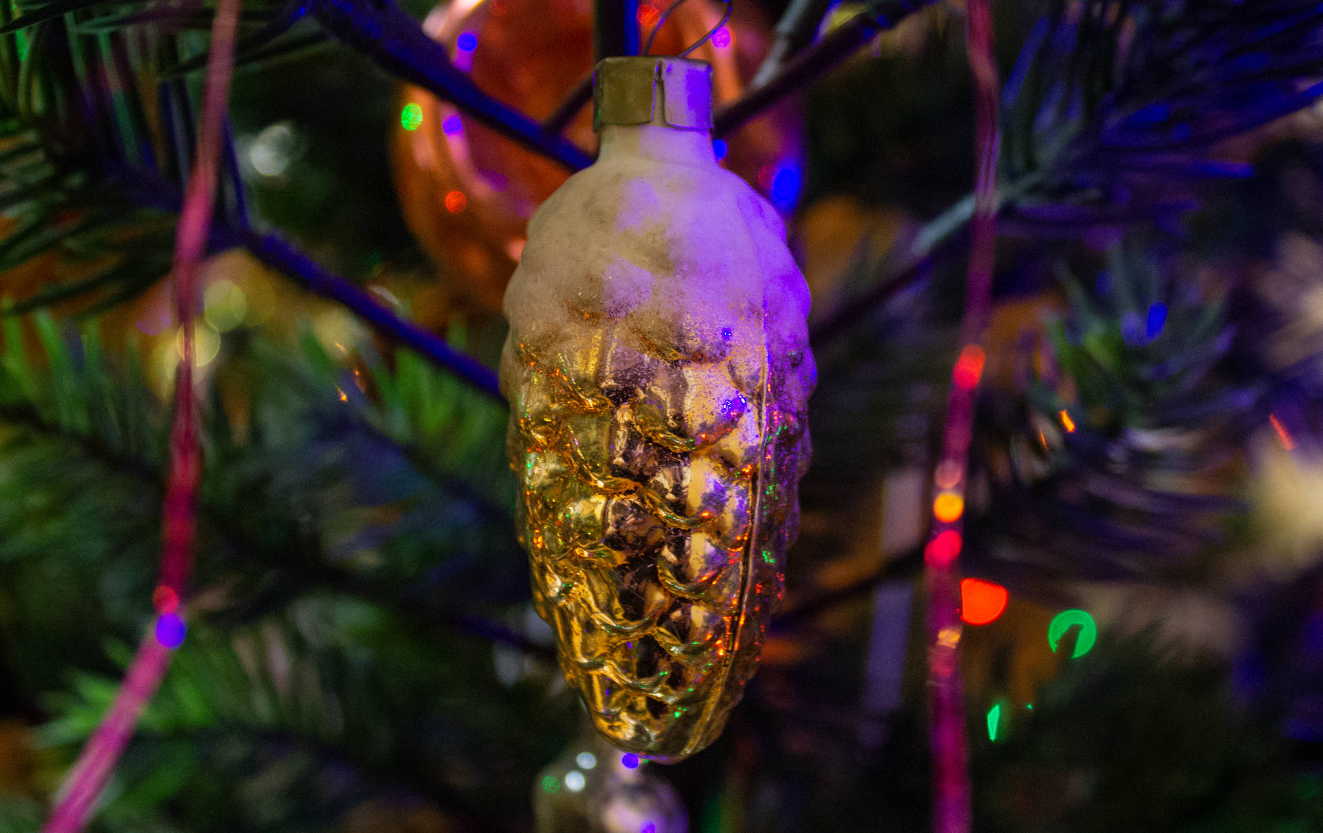一個被雪覆蓋的金色松果裝飾品，掛在亮燈的聖誕樹上。