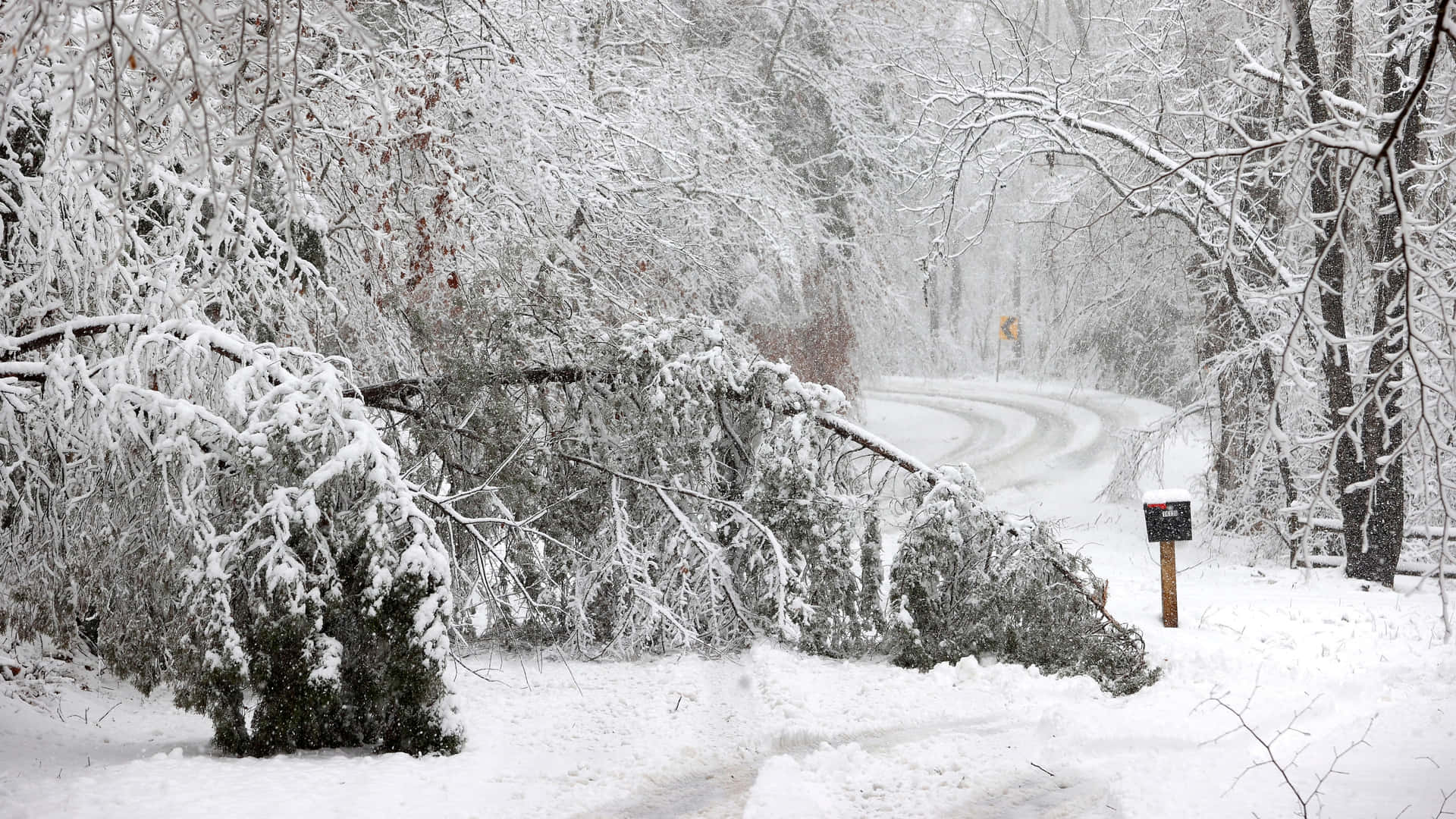 冬季森林中被倒下的樹木阻塞的雪路。