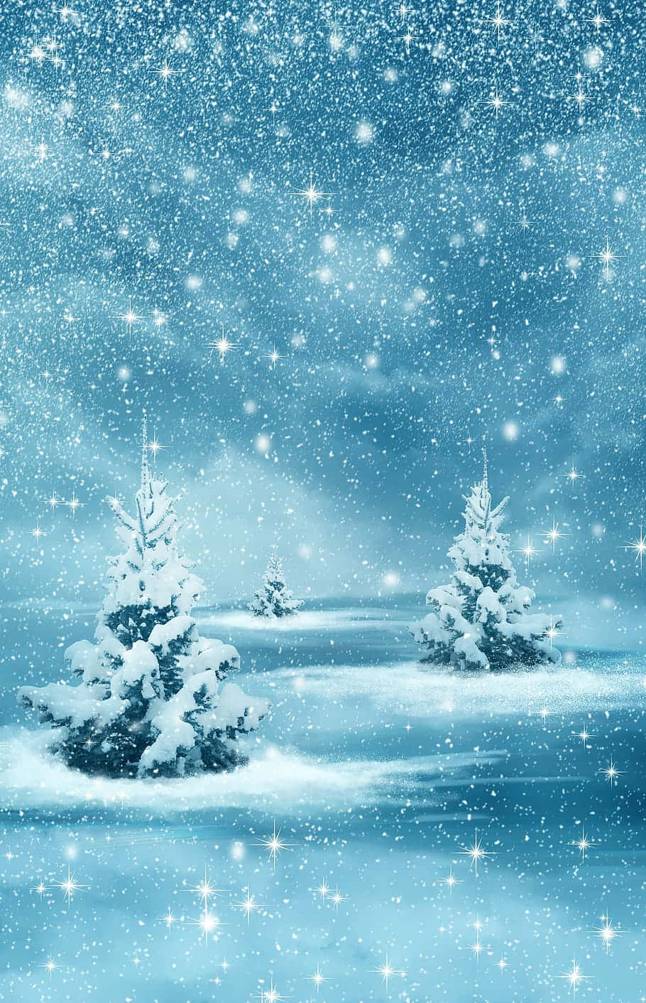 白雪覆蓋的松樹在閃爍的冬日天空下。