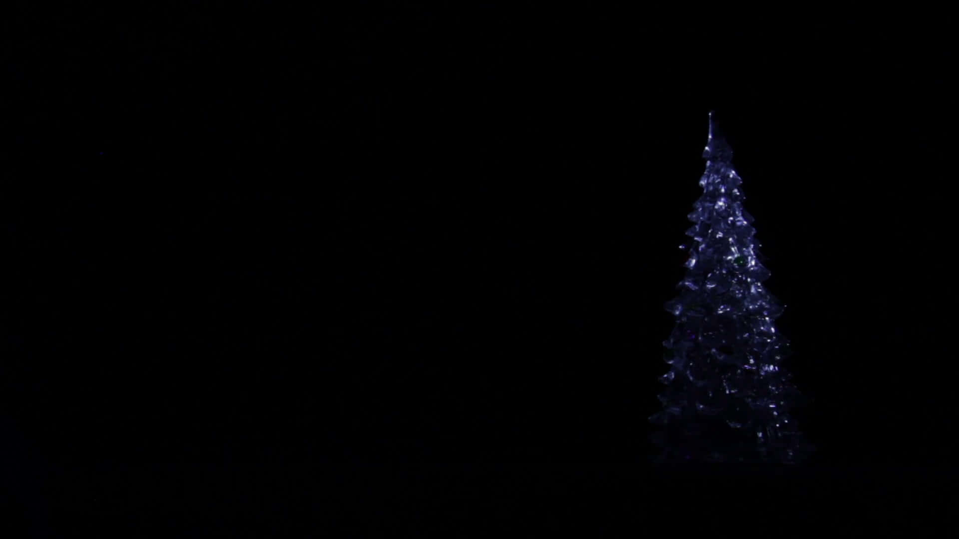 一棵在黑夜中閃爍藍光的松樹。