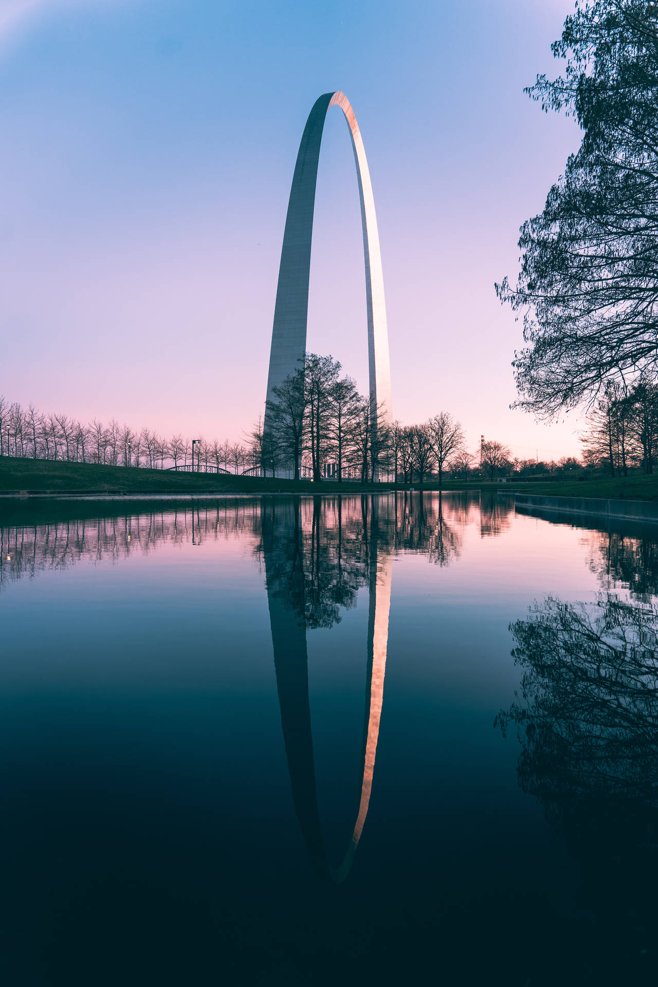 Gateway Arch 在暮色中倒映在水面上，周圍是光禿禿的樹木