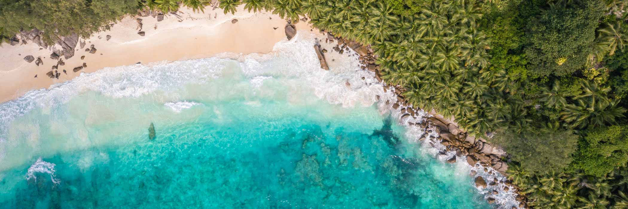 聖露西亞海灘的海浪 壁紙 — 原始熱帶海灘的鳥瞰圖，碧綠的海水拍打著白色沙灘，沙灘邊緣是茂密的綠色棕櫚樹。