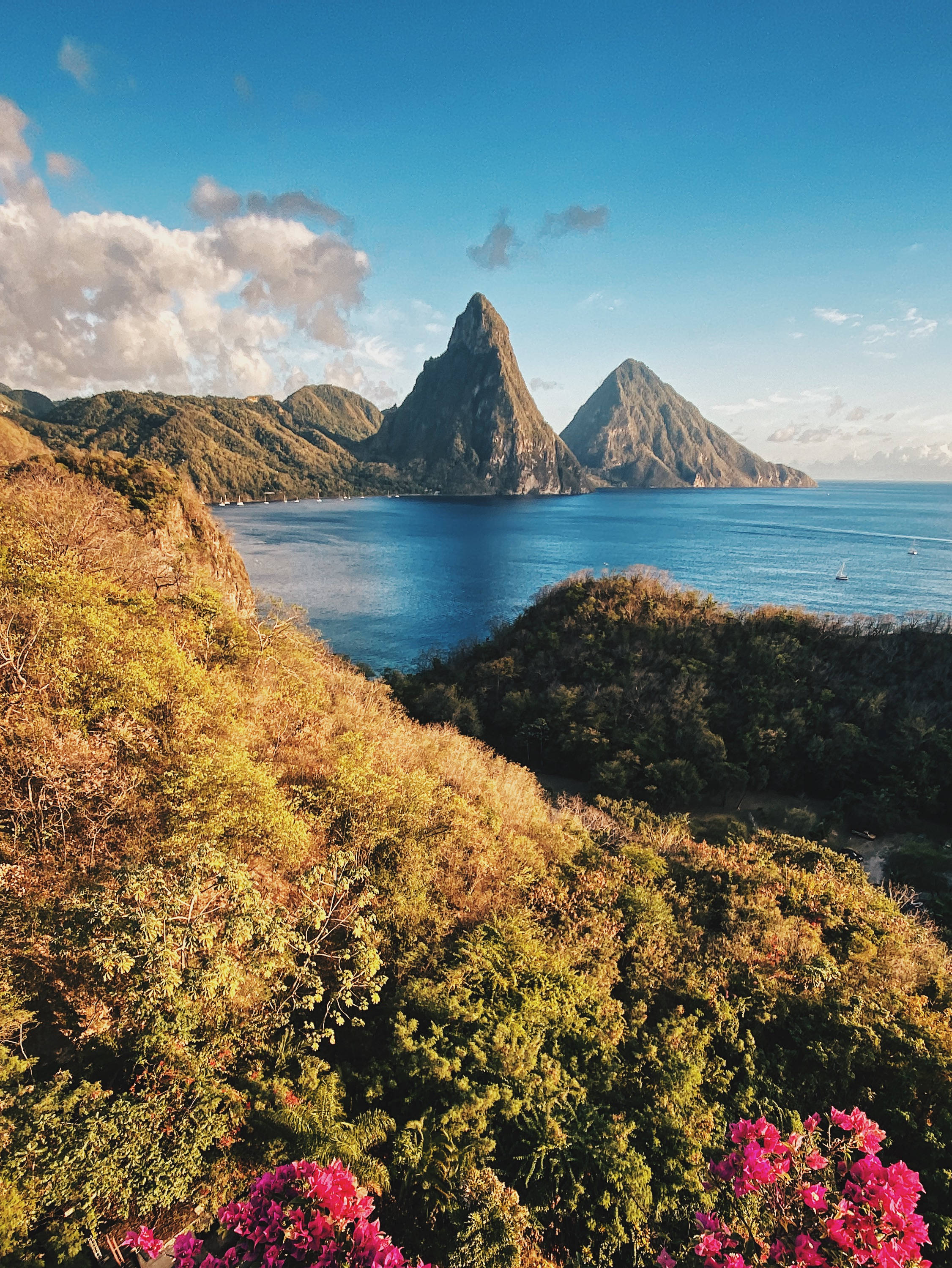 聖露西亞清晨的壯麗景色 壁紙 — 在明亮的藍天下，皮通山的前景是鬱鬱蔥蔥的綠色山丘和充滿活力的粉紅色花朵，景色令人嘆為觀止。