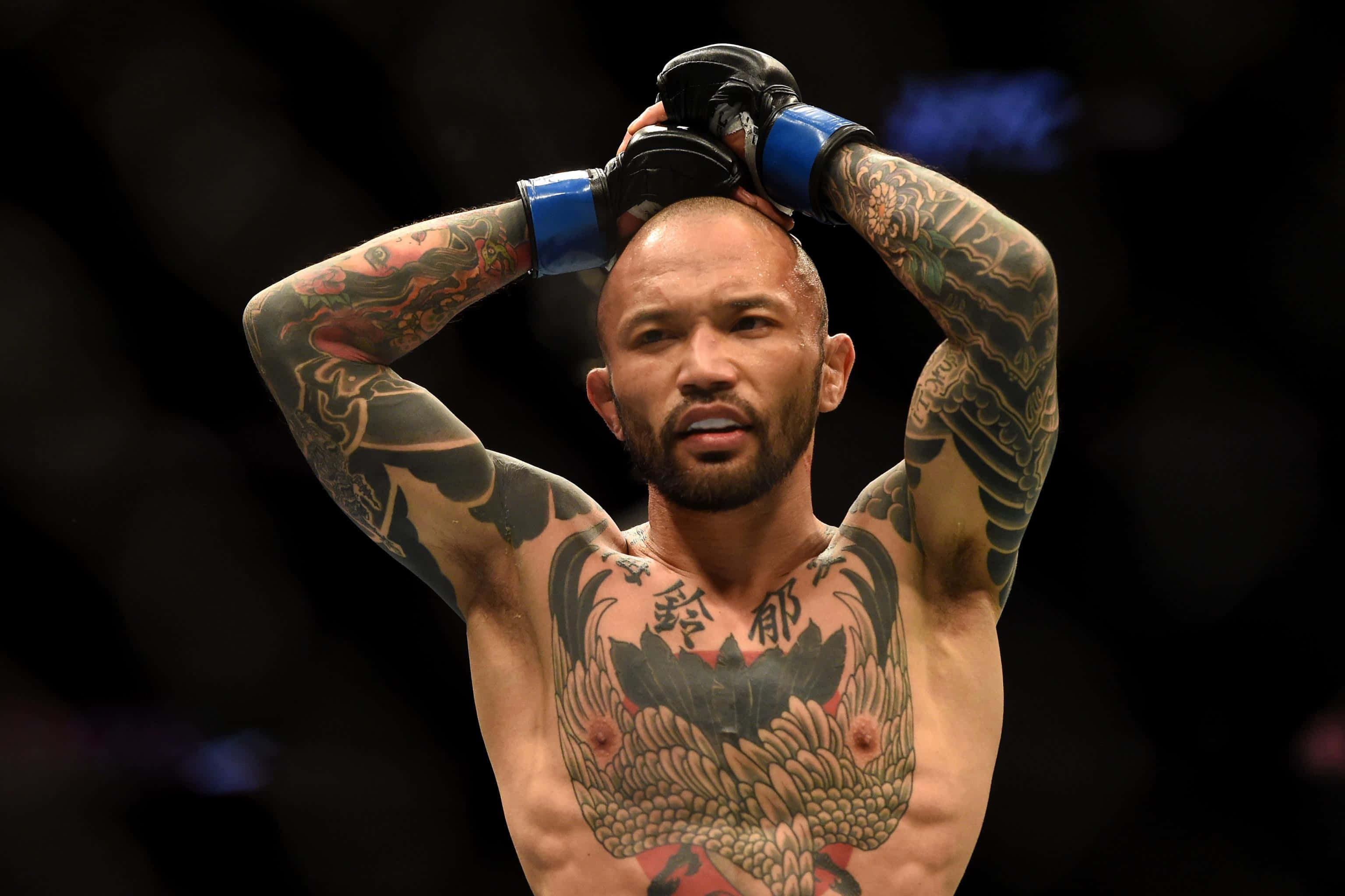 職業MMA選手山本信一郎於UFC 184賽事中表情驚慌 壁紙 — 一位紋身戰士將手套放在頭上，在昏暗的競技場中凝視著。