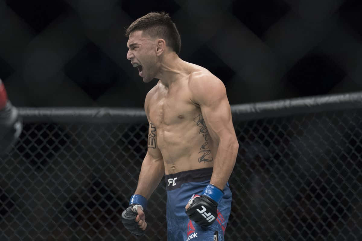 MMA鬥士在八角籠內呼喊勝利。