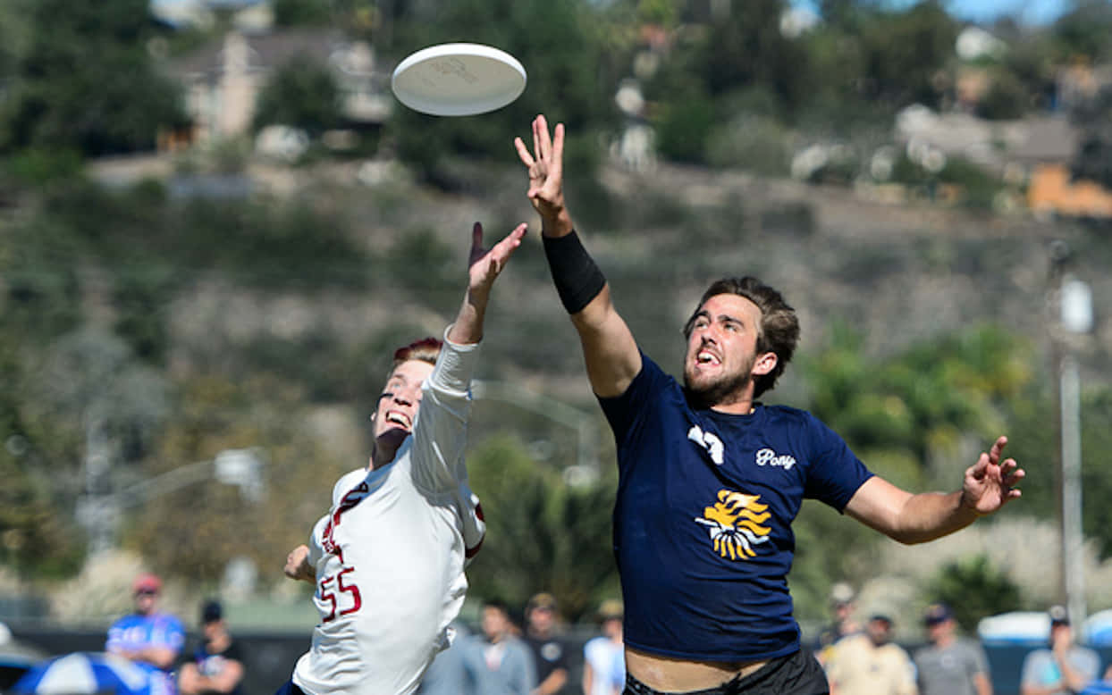 職業球員最佳 Ultimate Frisbee 背景 壁紙 — 兩名男性運動員在戶外競技比賽中跳起並伸向空中的白色飛盤。