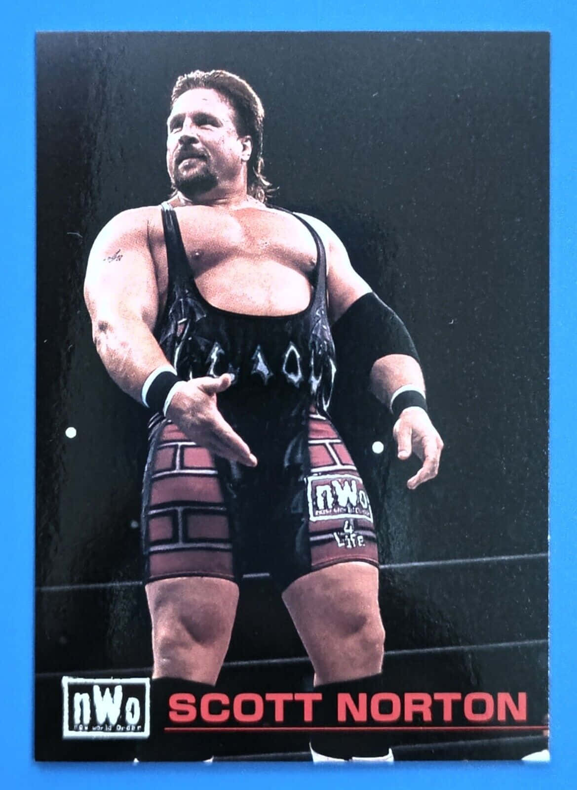 Scott Norton Posing with Champion Belt 壁紙 — 肌肉發達的摔角手 Scott Norton 身穿黑紅 NWO 裝備，在深色背景前自信地擺姿勢。