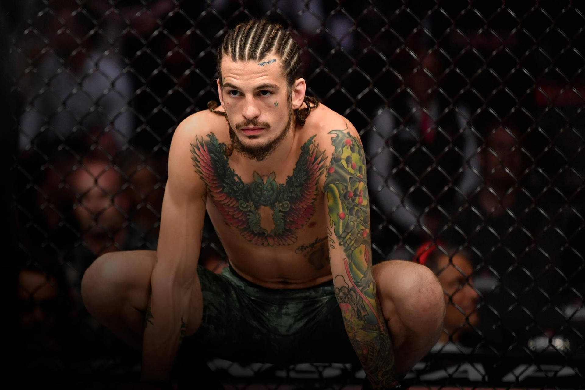 有紋身的MMA拳手在格鬥籠內蹲伏。