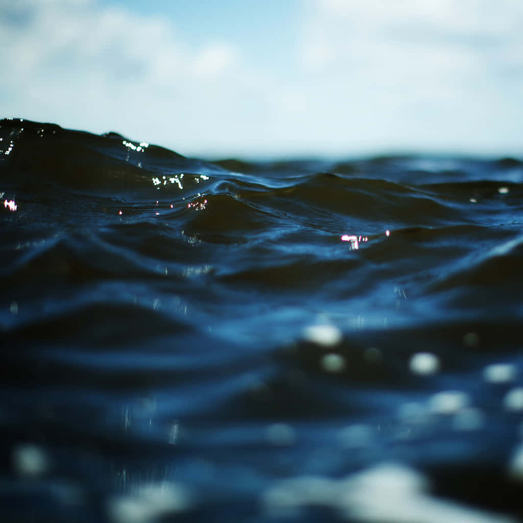 深藍色海浪在日光下閃爍著亮點。