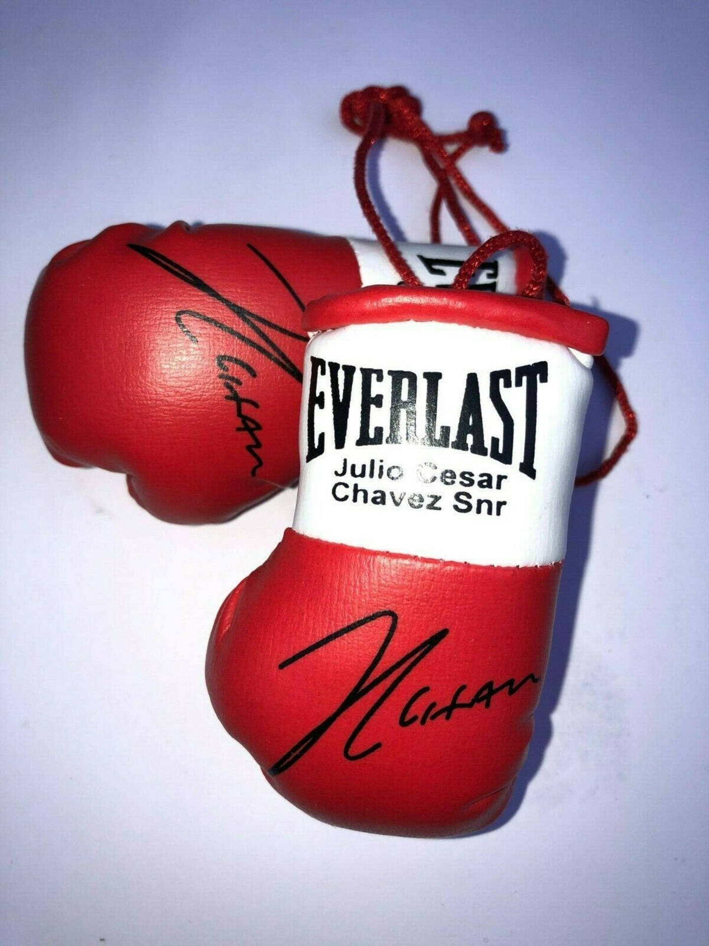 胡里奧·塞薩爾·查韋斯拳套 壁紙 — Julio Cesar Chavez Sr 簽名的迷你紅色和白色 Everlast 拳擊手套掛在純白色背景上。