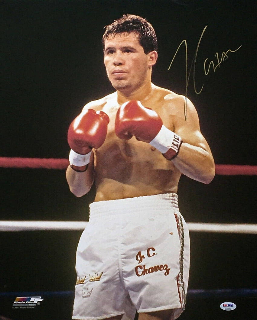 胡里奧·塞薩爾·查韋斯簽名照 壁紙 — 拳擊手 Julio Cesar Chavez 站在擂台上，戴著紅色手套和繡有他名字的白色短褲，在明亮的燈光下神情專注。