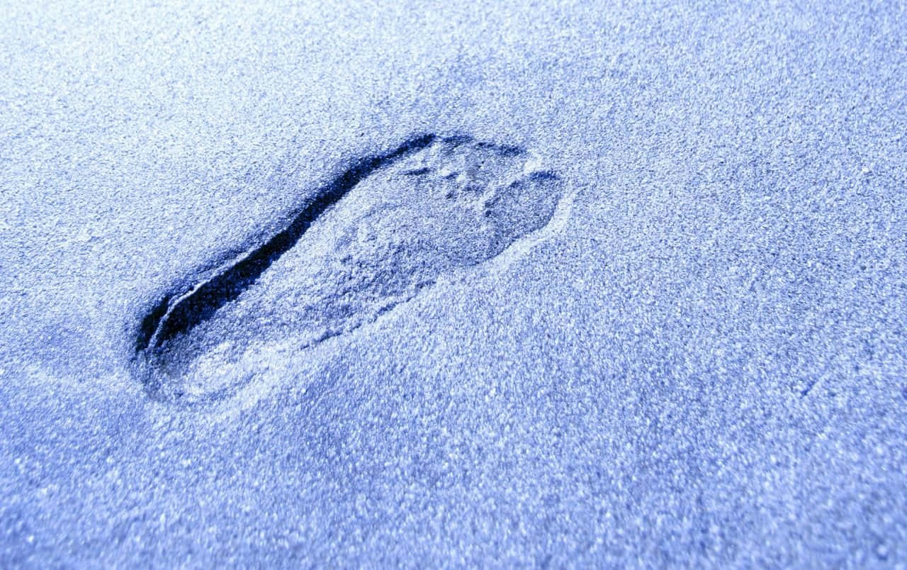 藍色雪地上的一個腳印