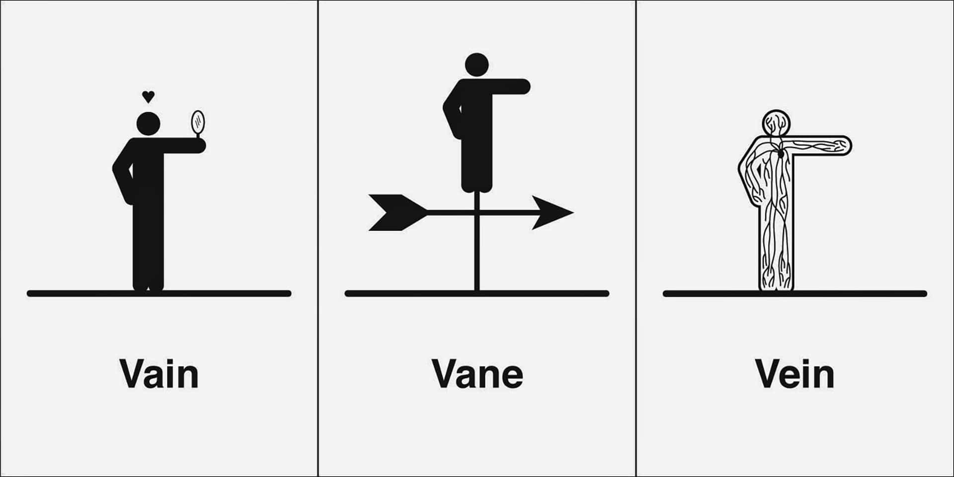 三幅帶標籤的同音詞 vain vane vein 插圖