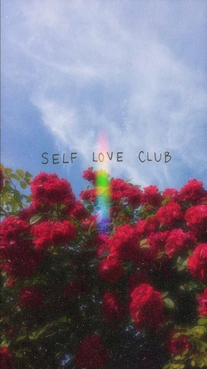 紅玫瑰配彩虹及文字self love club，藍天背景