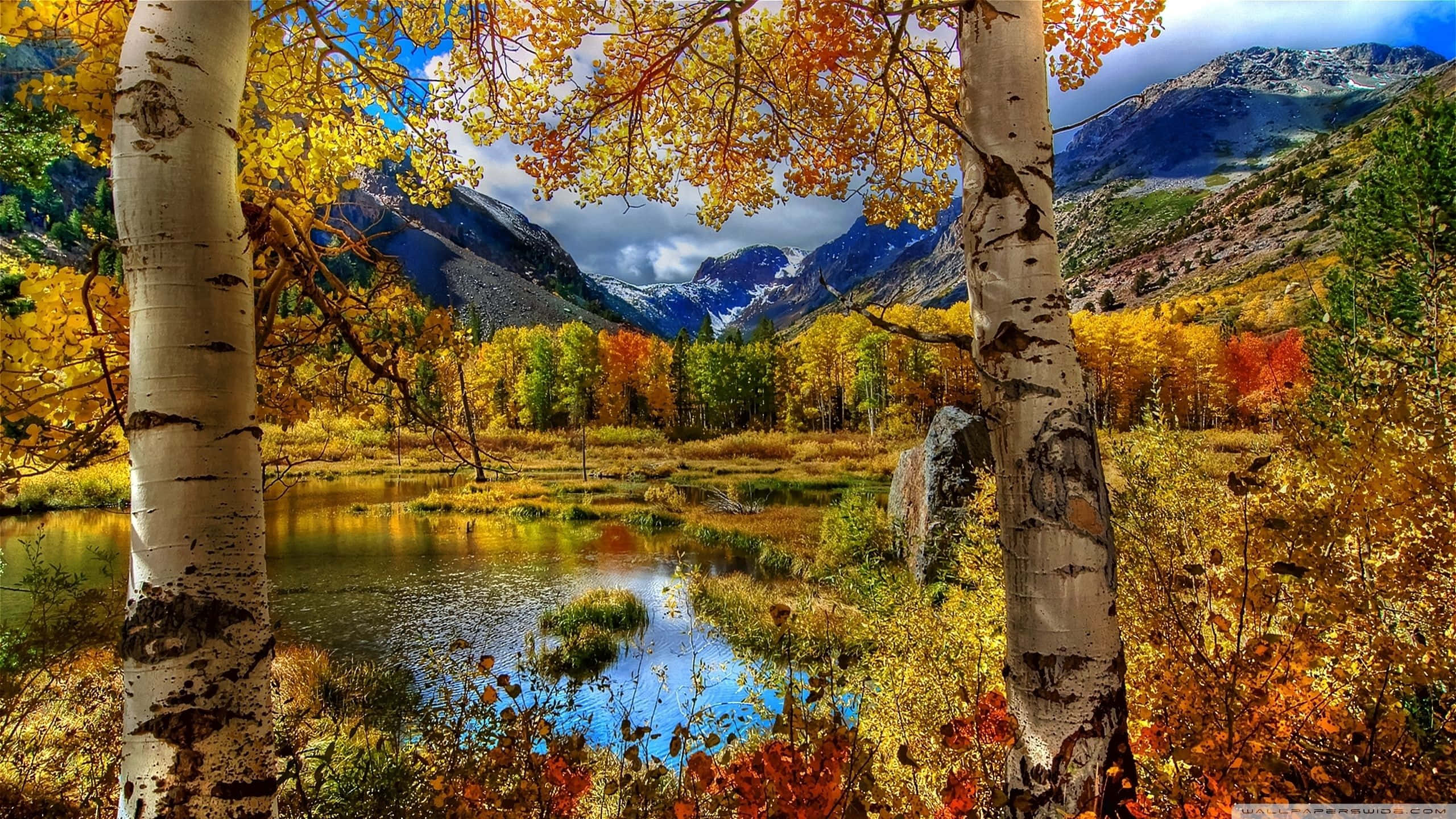 自然中的美好時刻：寧靜的秋日風景 壁紙 — 金色的白楊樹環繞著寧靜的山間湖泊，在戲劇性的雲層下倒映著藍天和秋葉。
