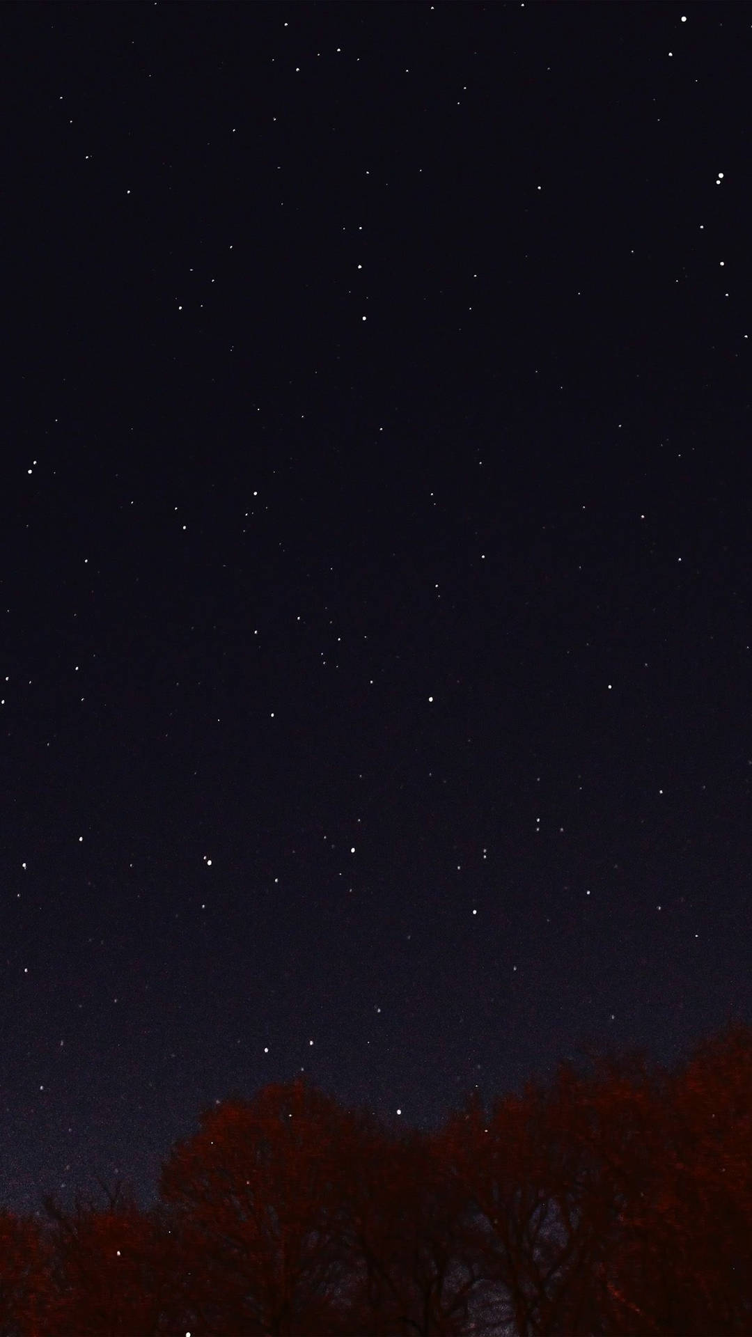 在星空夜空下，帶有紅色葉子的剪影樹木。