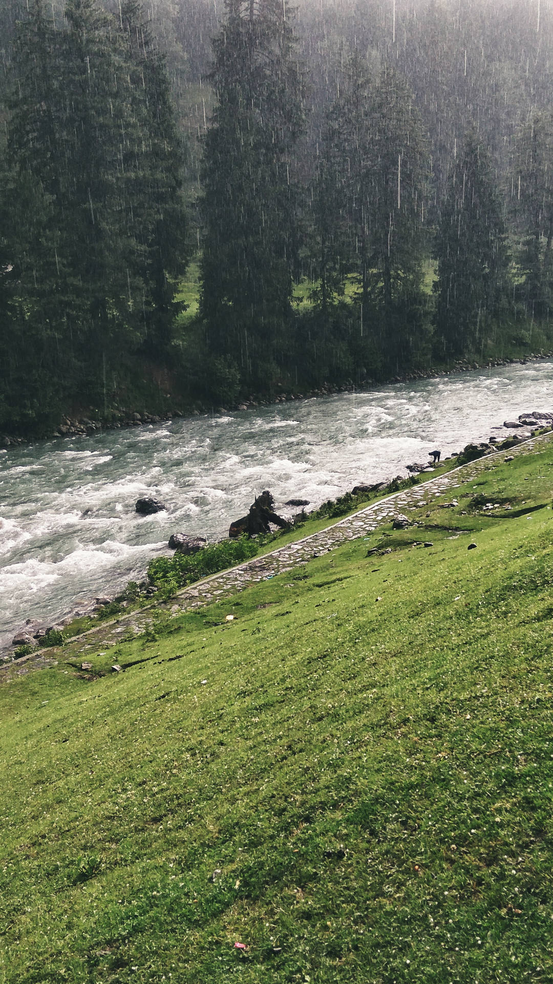 一條蜿蜒的河流流經雨中的森林山谷，沿岸有一條石徑。