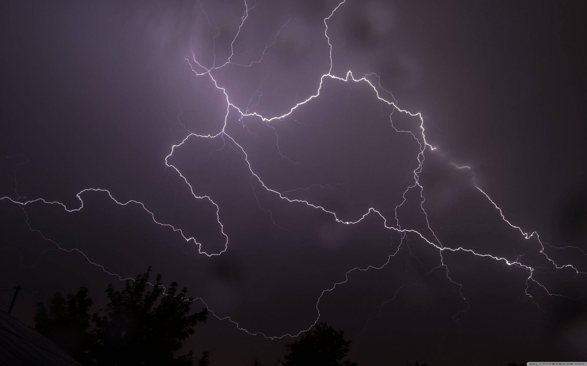 強烈的閃電照亮了暴風雨的夜空，映襯出黑暗的樹木剪影。