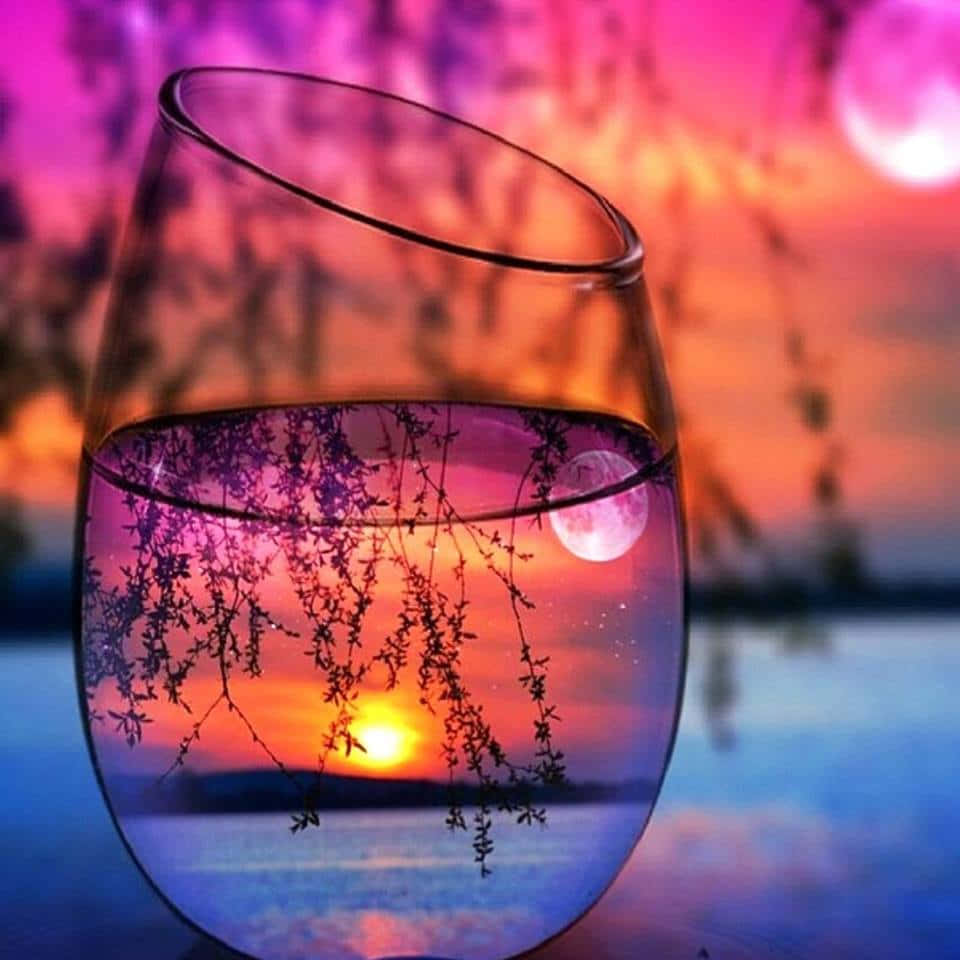 一個裝水的酒杯，透過剪影樹枝反射出日落和月亮。