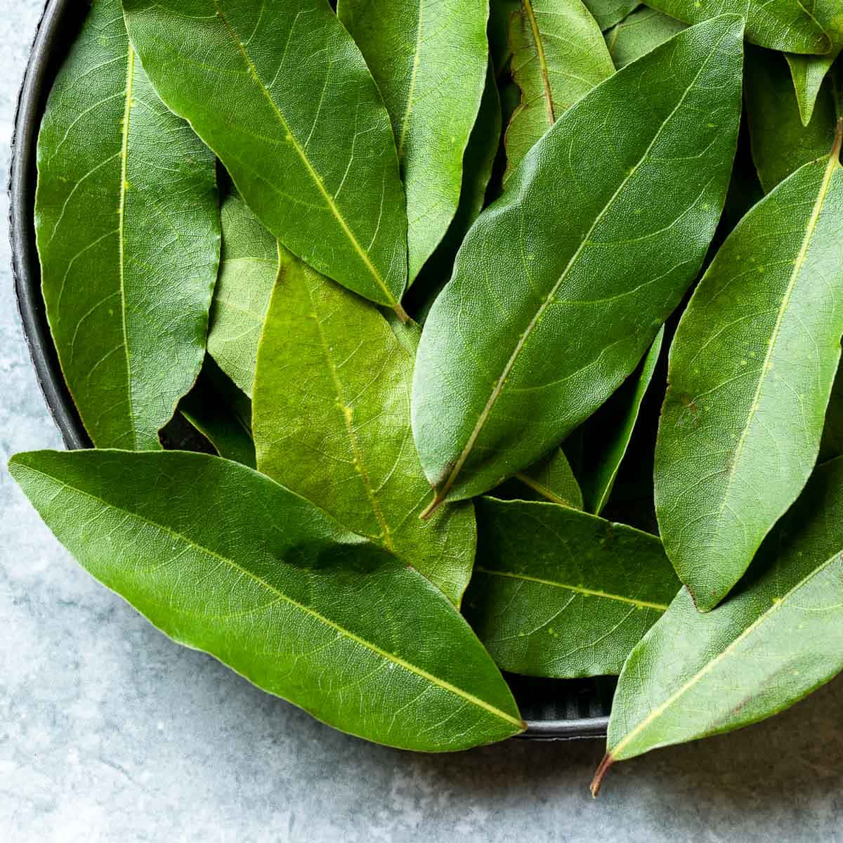 自然光下鮮豔的綠葉 壁紙 — 新鮮翠綠的月桂葉堆放在黑色碗中，置於清涼灰色紋理表面上。