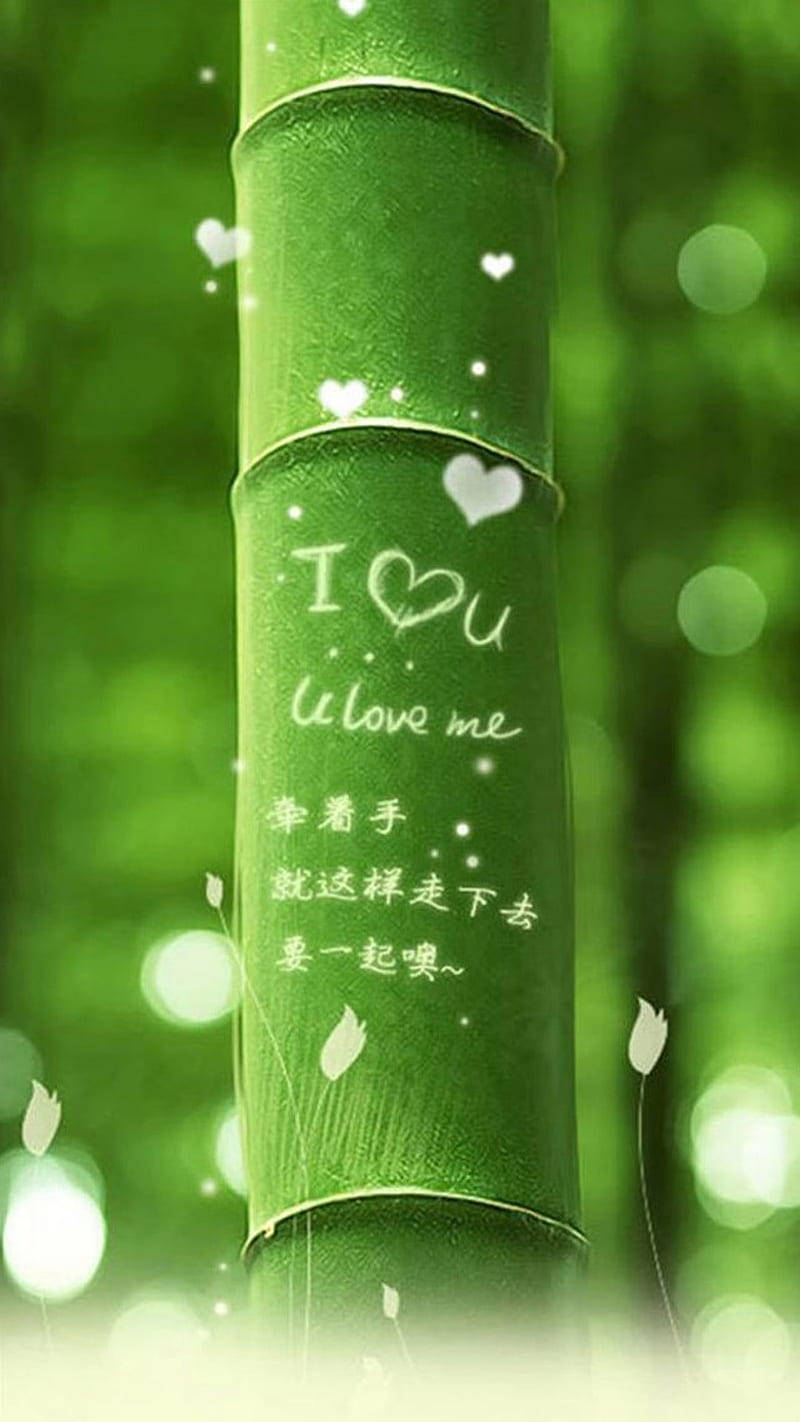 森林環境中帶有愛情訊息和心形的竹莖。
