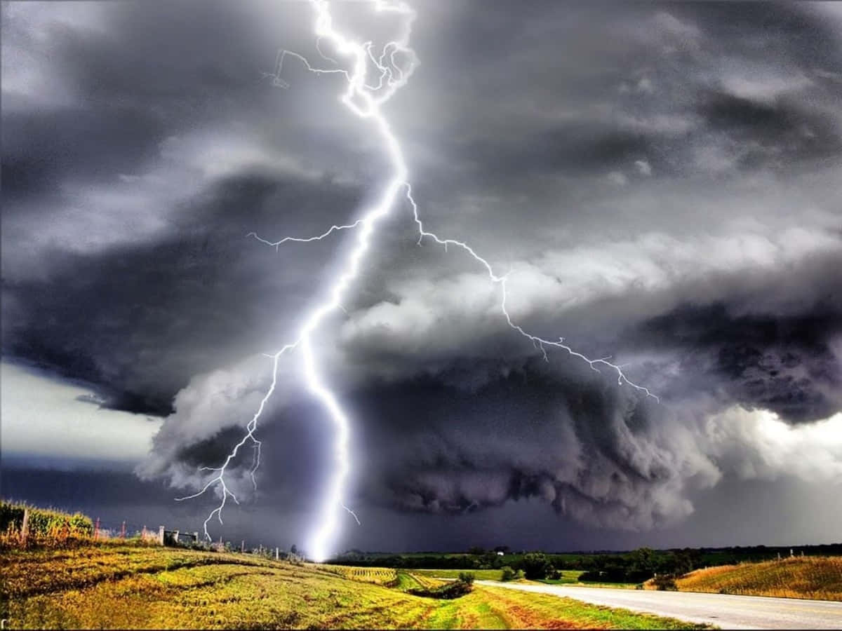 強大的閃電照亮了暴風雲下的鄉村景觀。