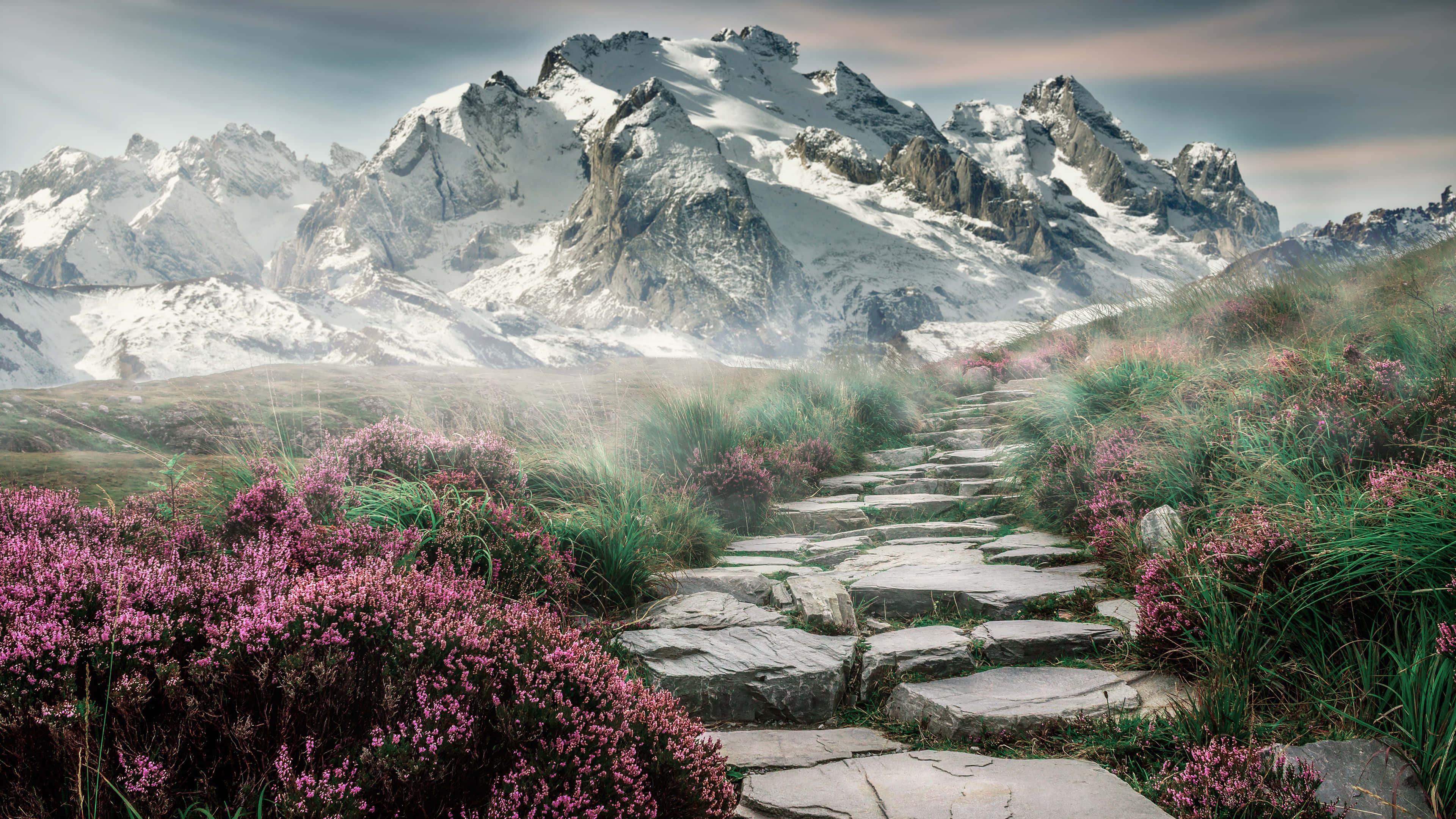 自然的偉大——4K 山景 壁紙 — 一條石徑蜿蜒穿過紫色石楠花，通往白雪覆蓋的山峰，天空柔和暮色籠罩。