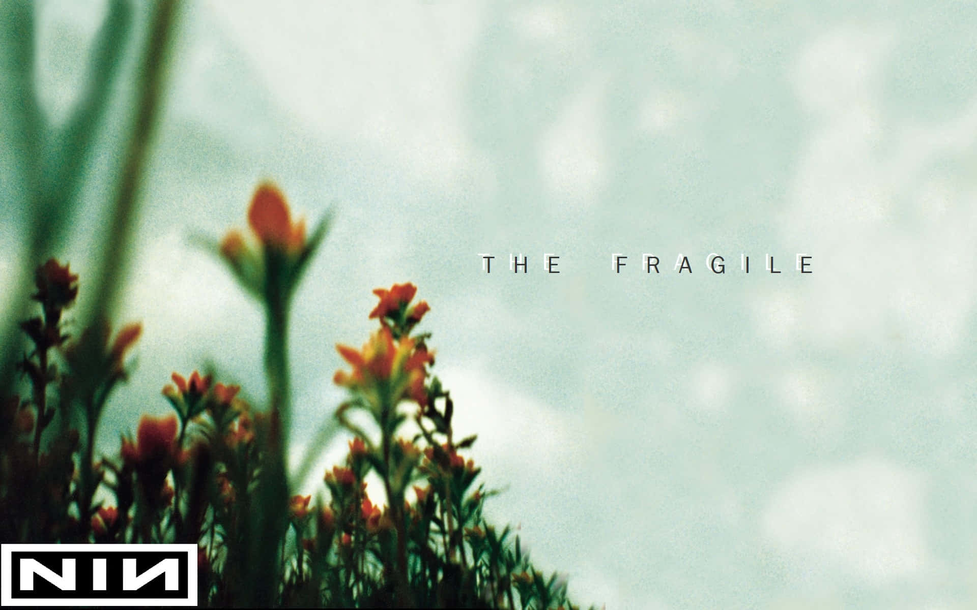 橙色野花帶有文字 'THE FRAGILE' 和 'NIN' 標誌，背景為青綠色天空。