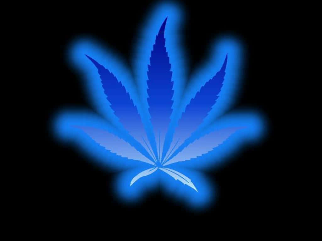 發光藍色大麻葉在黑色背景上，帶有柔和漸變光芒。