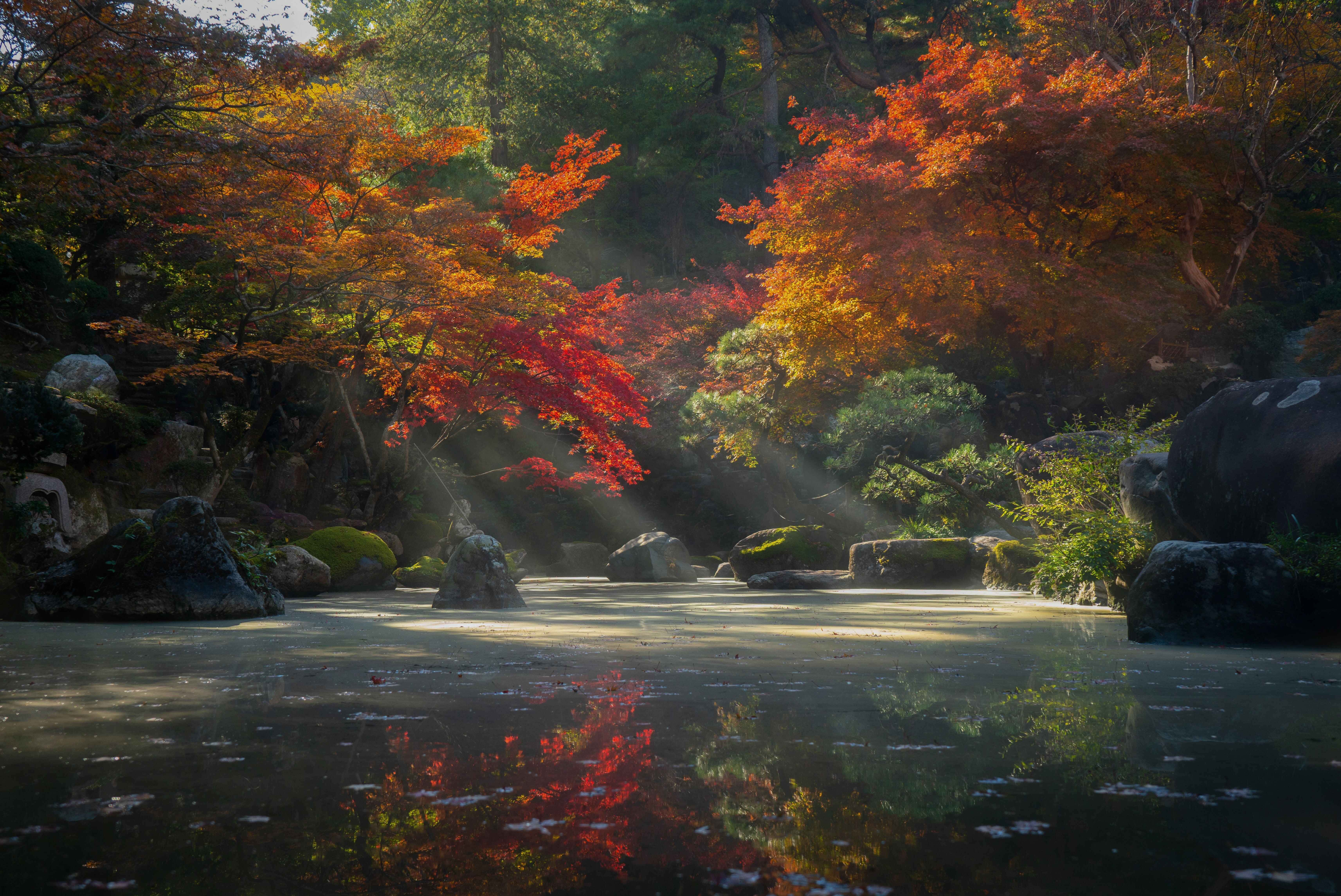 自然背景 壁紙