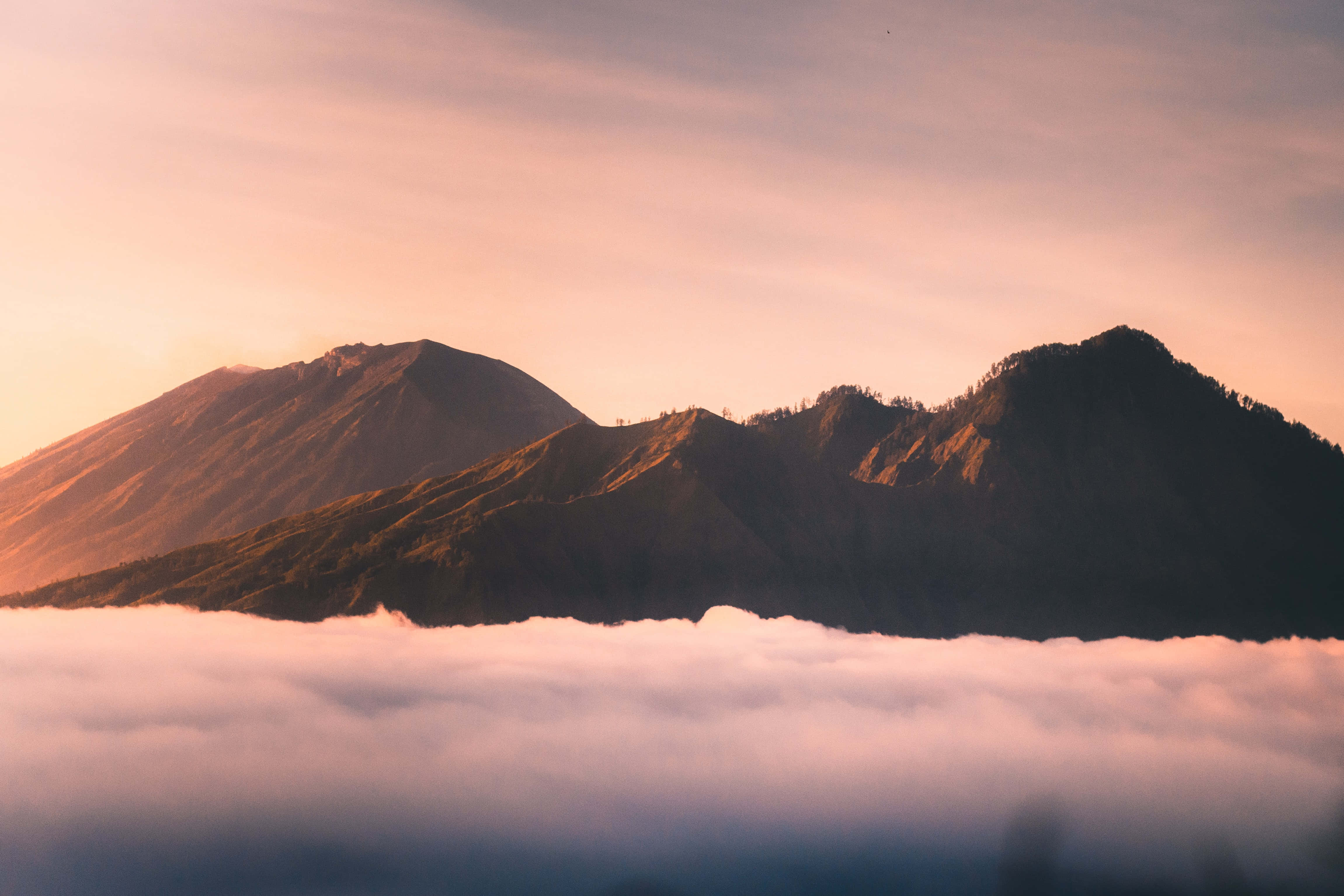 自然背景 壁紙