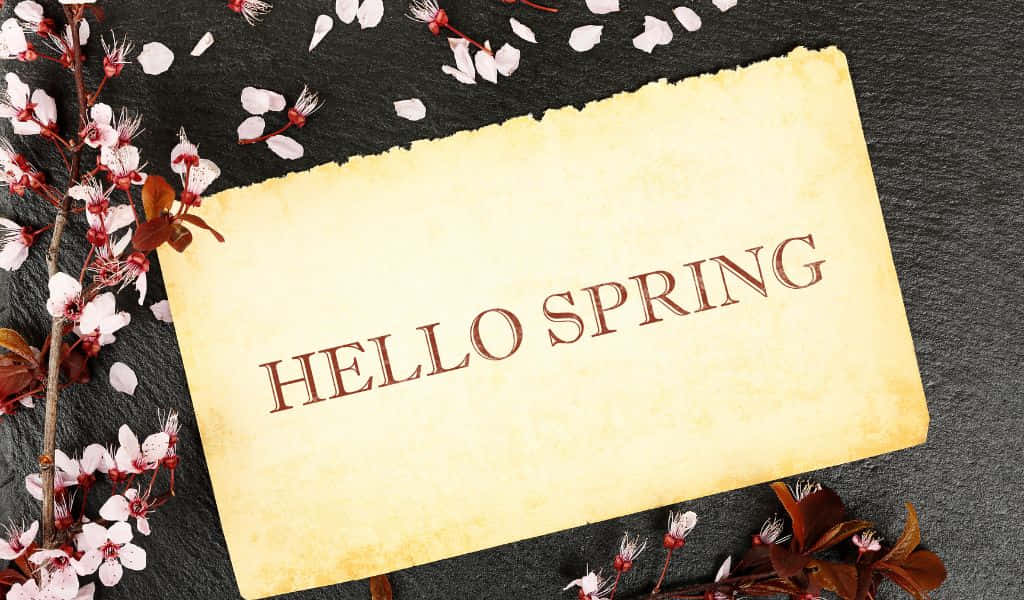 復古羊皮紙標誌寫著hello spring，周圍環繞著櫻花。