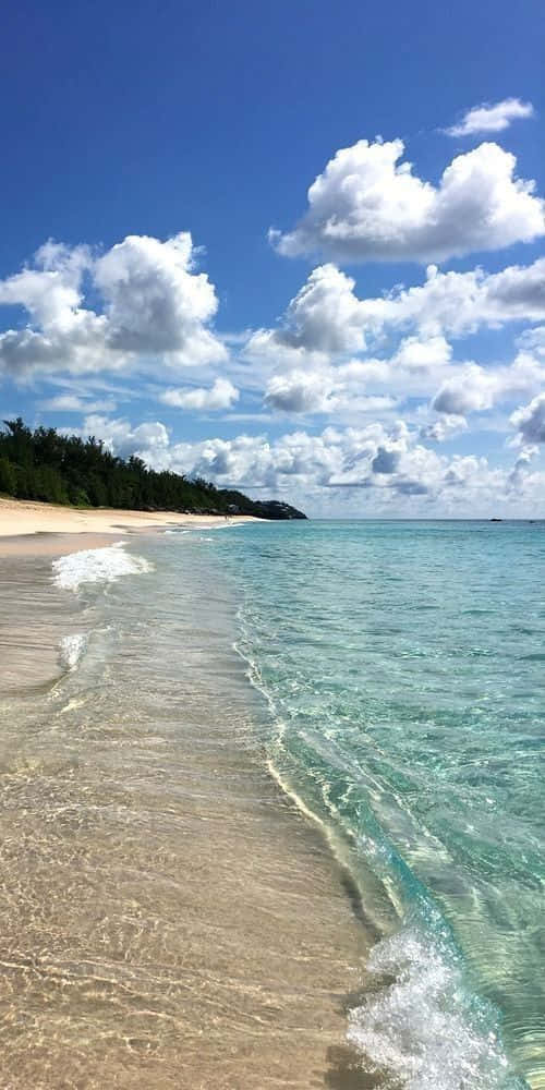 陽光明媚的日子裡，熱帶海灘上有碧綠的海水和白雲。