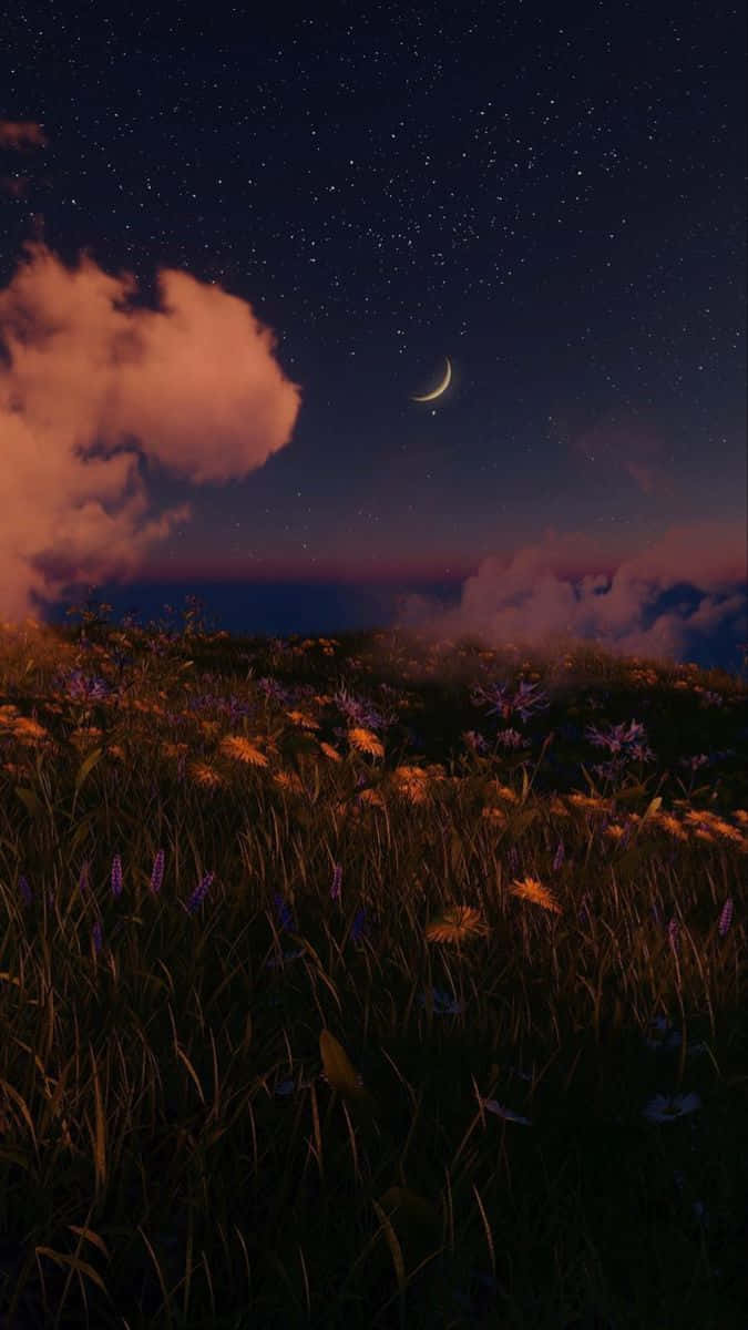 繁星點點的夜空，新月在野花田上空。