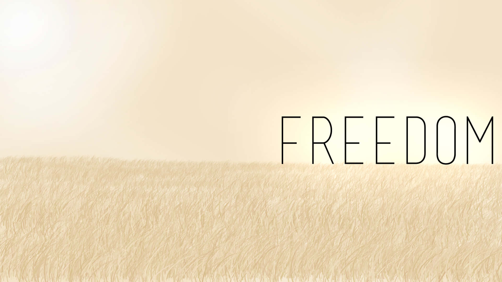 Freedom 桌布 壁紙 — 「自由」一詞漂浮在帶有紋理的米色背景上，柔和溫暖的光線下。