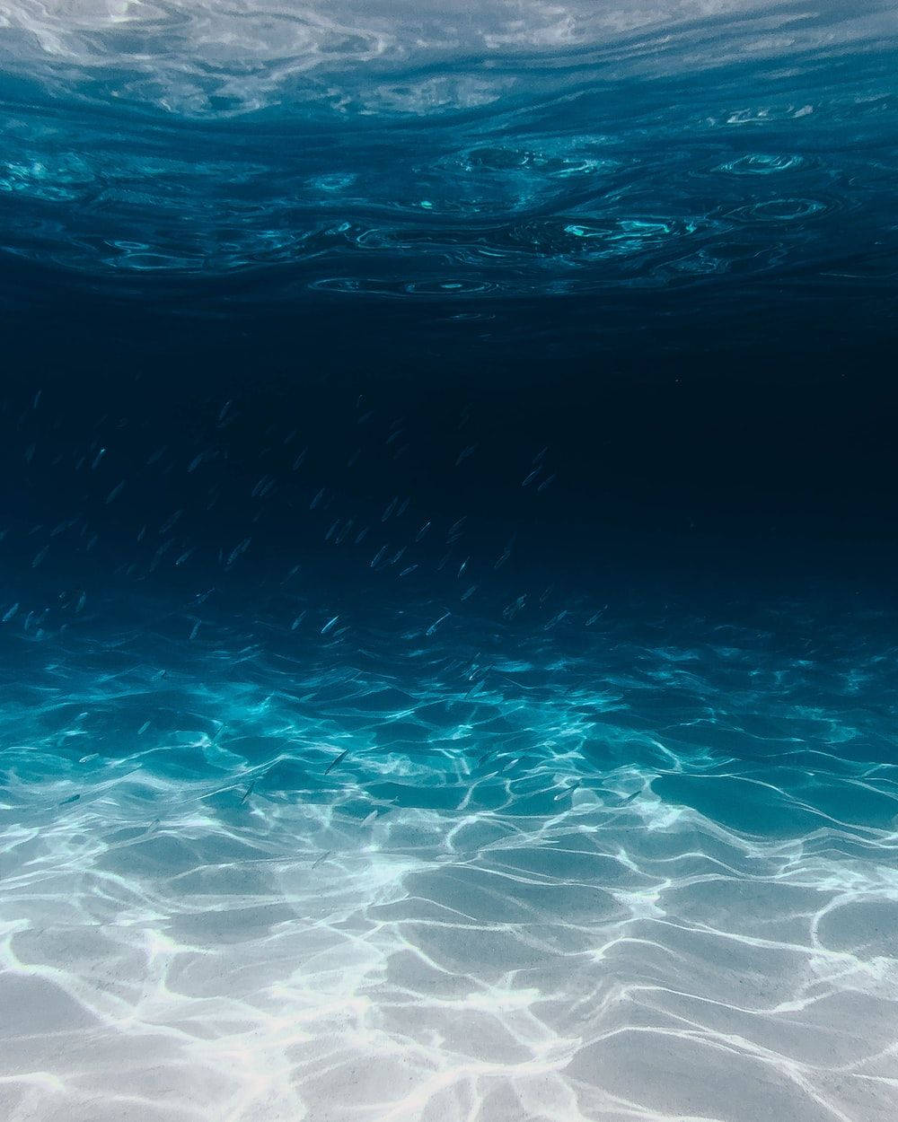 陽光圖案在沙質海床上泛起漣漪，魚兒在藍色水中游動。
