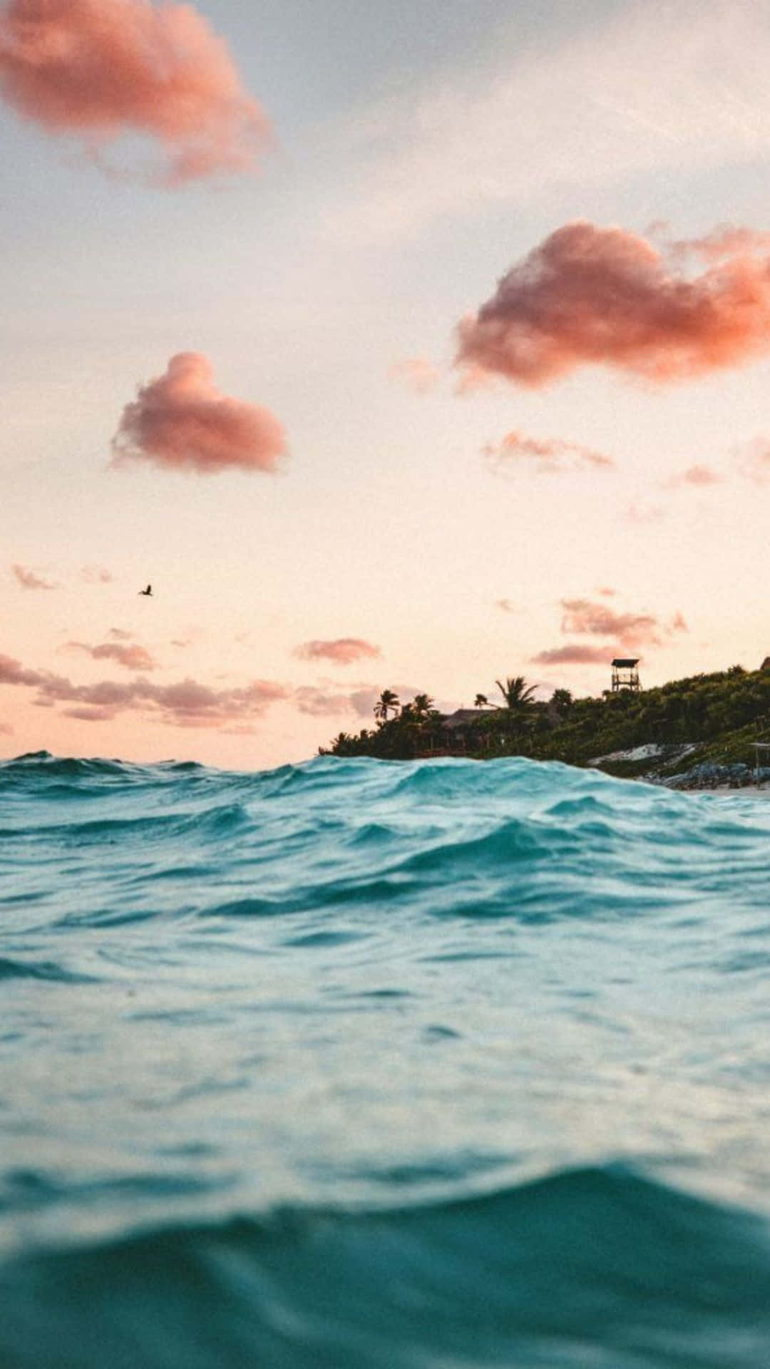 與 Android 一起享受夏日 壁紙 — 平靜的藍綠色海浪在柔和的粉紅色日落天空下泛起漣漪，天空中有散落的雲朵和遠處的棕櫚樹。
