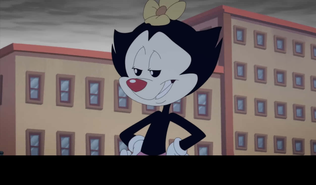 與 Animaniacs 一起解鎖歡樂 壁紙 — 一隻自信的卡通貓，頭上戴著花，在陰天城市建築前自豪地站立。