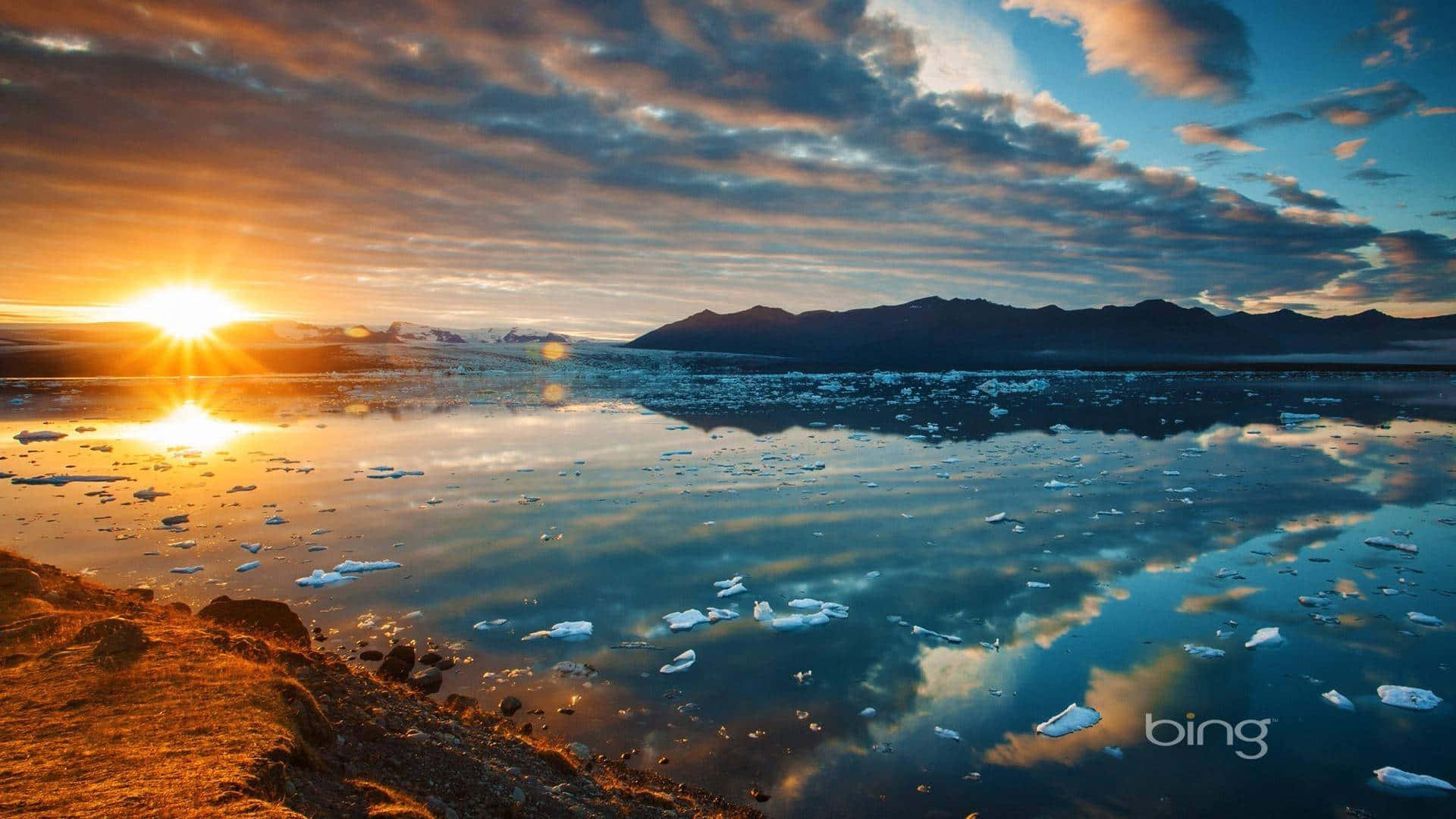 Bing 背景