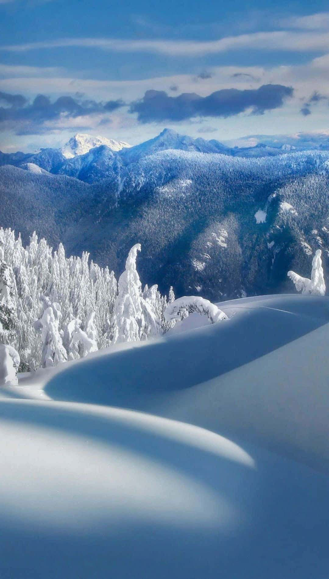 白雪覆蓋的山景，結霜的樹木和藍天