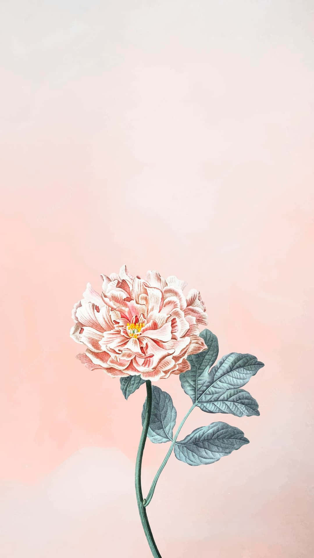 一朵帶綠葉的粉紅牡丹花，置於柔和的蜜桃色背景上。