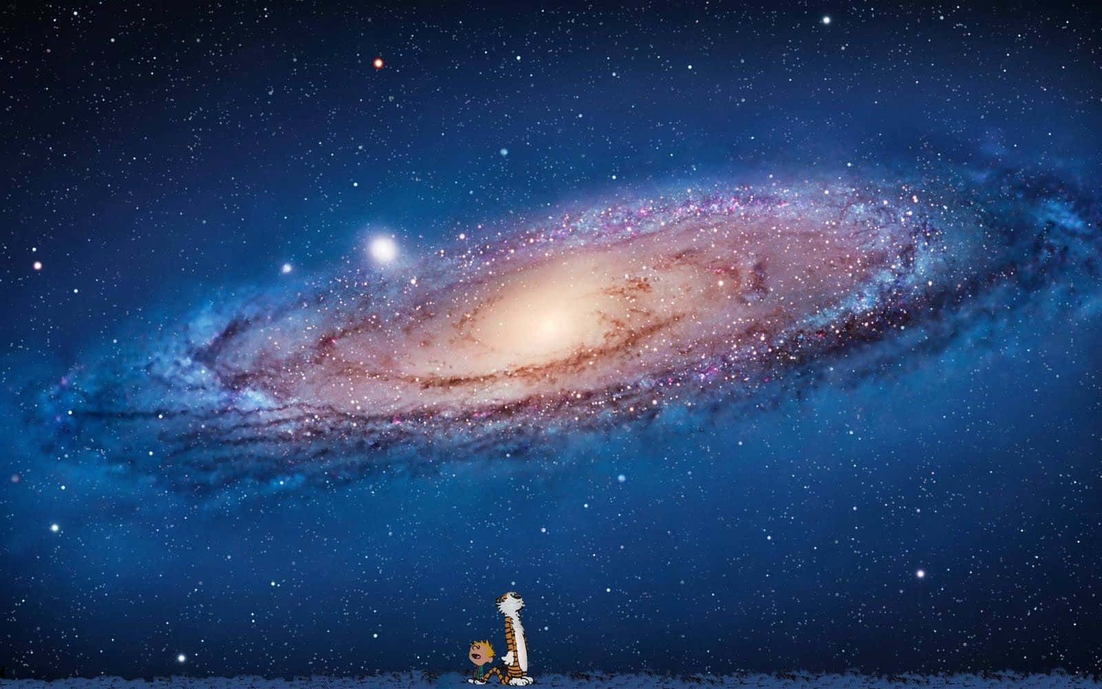 卡通男孩和老虎在繁星點點的夜空中仰望發光的螺旋星系。