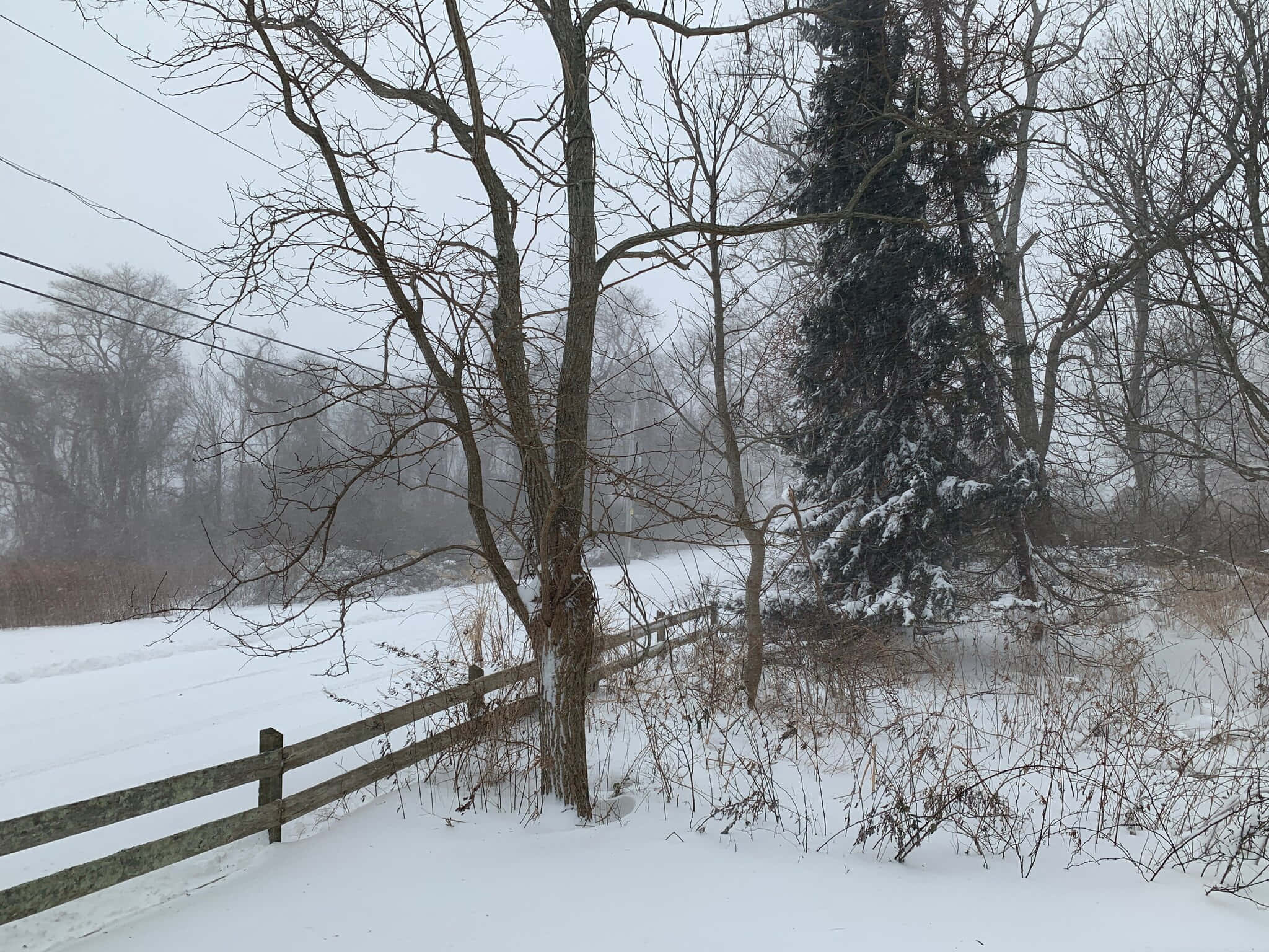 與Blizzard一同穿越風雪 壁紙 — 白雪覆蓋寧靜的鄉村田野，光禿禿的樹木和飽經風霜的木柵欄在陰沉的冬日天空下。